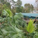Trường Cao đẳng Than – Khoáng sản Việt Nam khẩn trương khắc phục hậu quả, nhanh chóng ổn định công tác tuyển sinh, đào tạo sau bão số 3 (cơn bão YAGI)